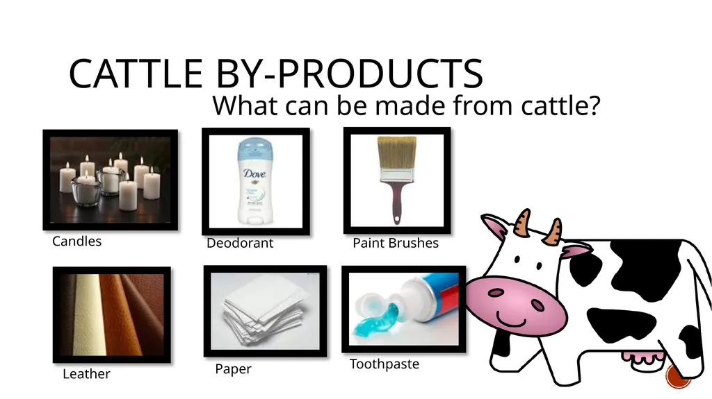 A note to the instructor Upon completion, students - slide 12 of 16