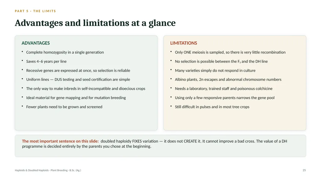 Haploids and Doubled Haploids How they are - slide 24 of 26