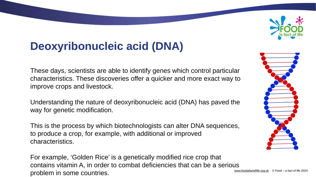 Genetic modification and gene editing Genes Every - slide 4 of 14