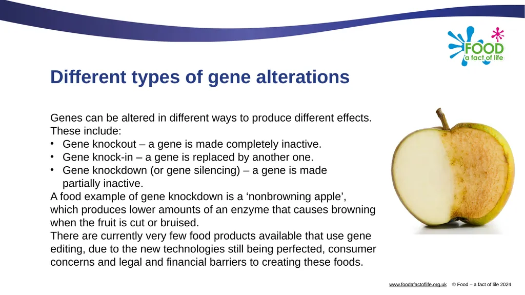 Genetic modification and gene editing Genes Every - slide 11 of 14