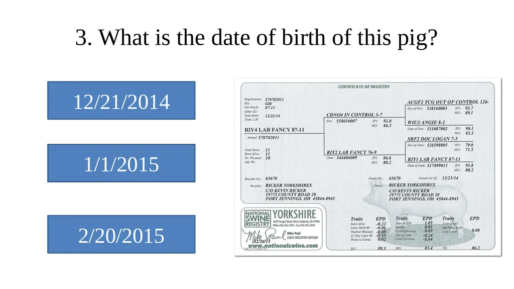 Pedigrees Learning Objectives Understand the - slide 22 of 31