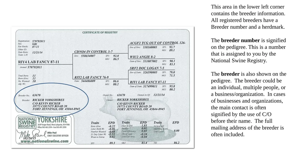 Pedigrees Learning Objectives Understand the - slide 8 of 31
