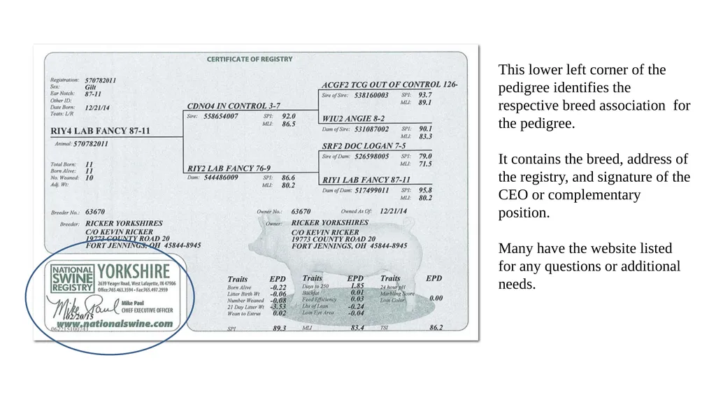Pedigrees Learning Objectives Understand the - slide 14 of 31
