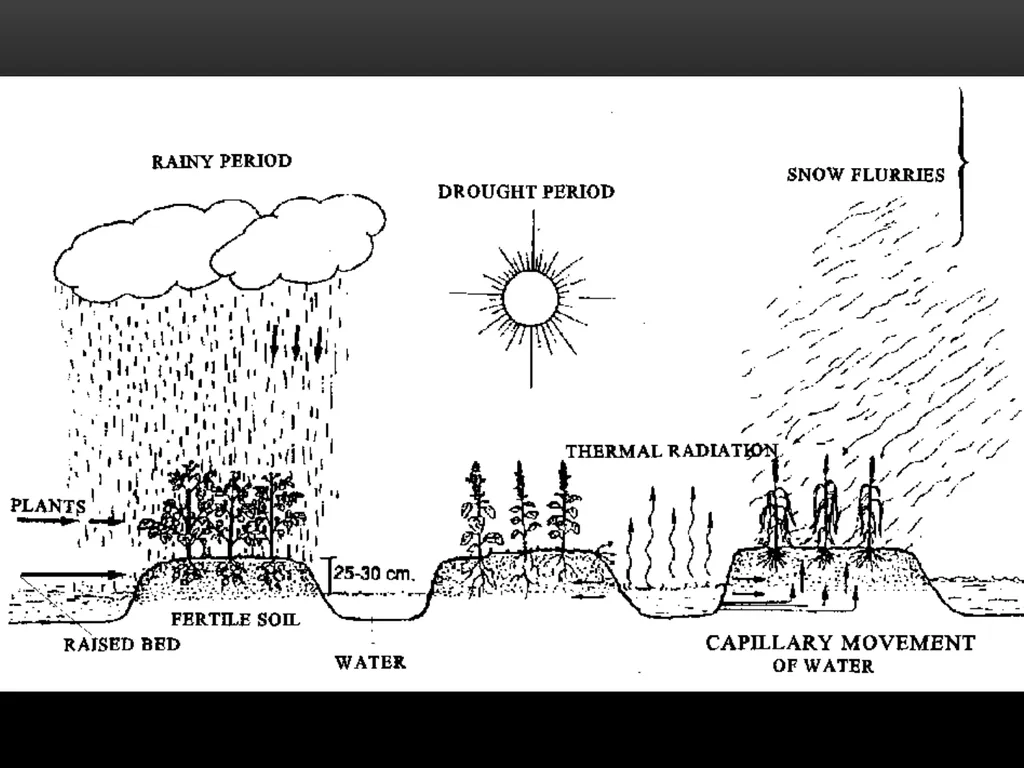 Background and Geography Society Religion - slide 28 of 32