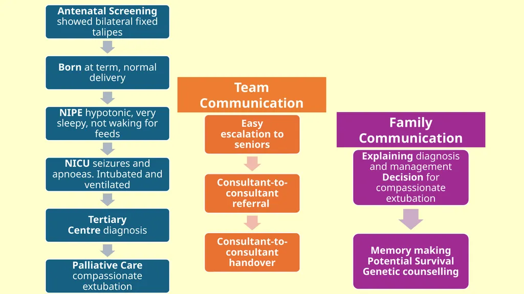 Non-Ketotic Hyperglycinaemia and Communication - slide 3 of 5