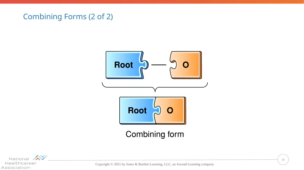 Concepts, Suffixes, and Prefixes of Medical - slide 10 of 47