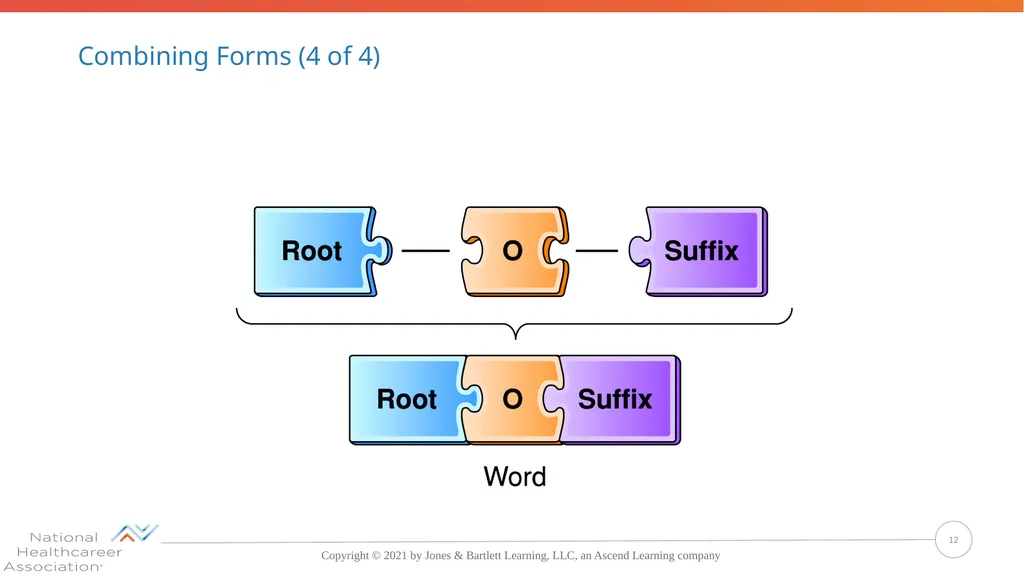 Concepts, Suffixes, and Prefixes of Medical - slide 12 of 47