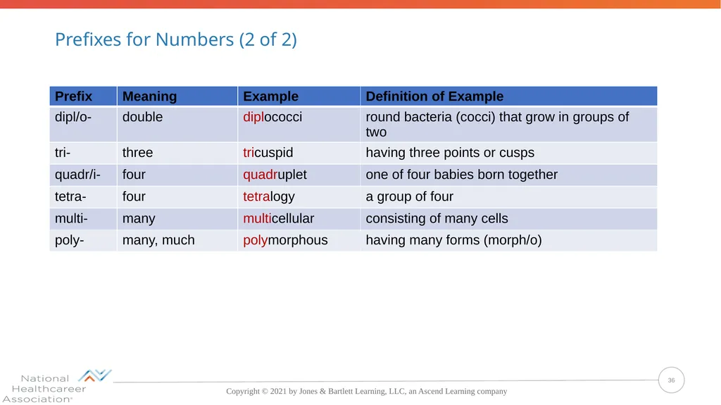 Concepts, Suffixes, and Prefixes of Medical - slide 36 of 47