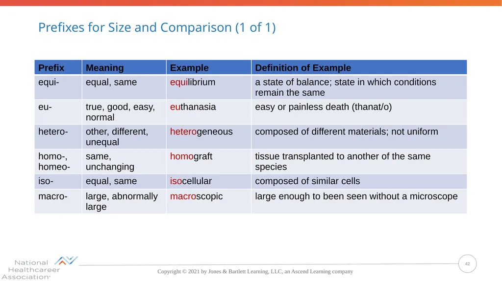Concepts, Suffixes, and Prefixes of Medical - slide 42 of 47