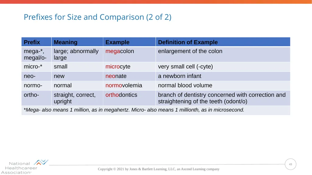 Concepts, Suffixes, and Prefixes of Medical - slide 43 of 47