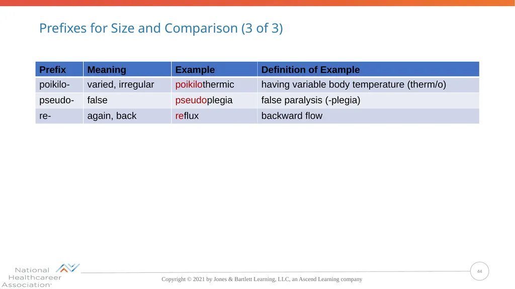 Concepts, Suffixes, and Prefixes of Medical - slide 44 of 47