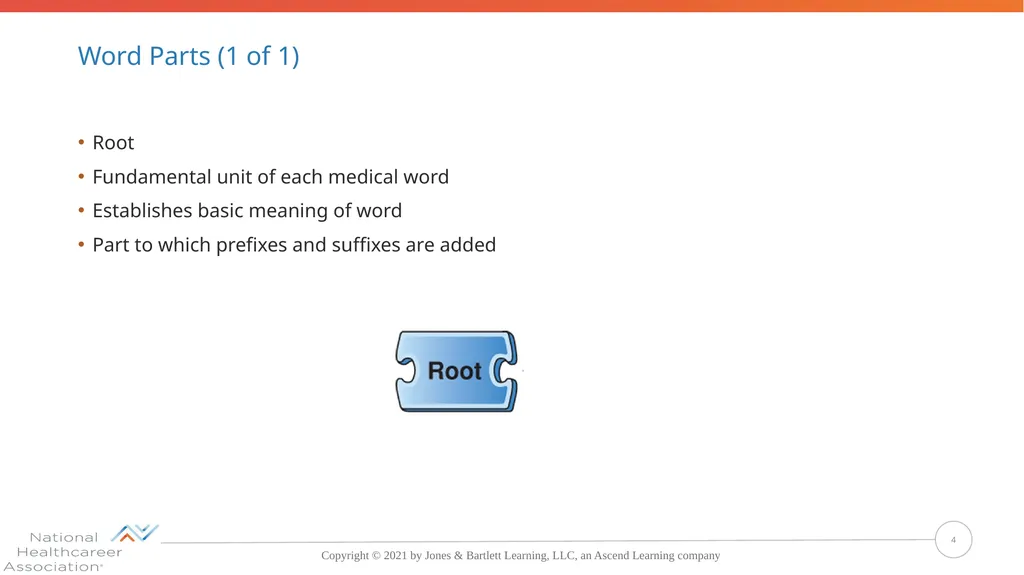 Concepts, Suffixes, and Prefixes of Medical - slide 4 of 47