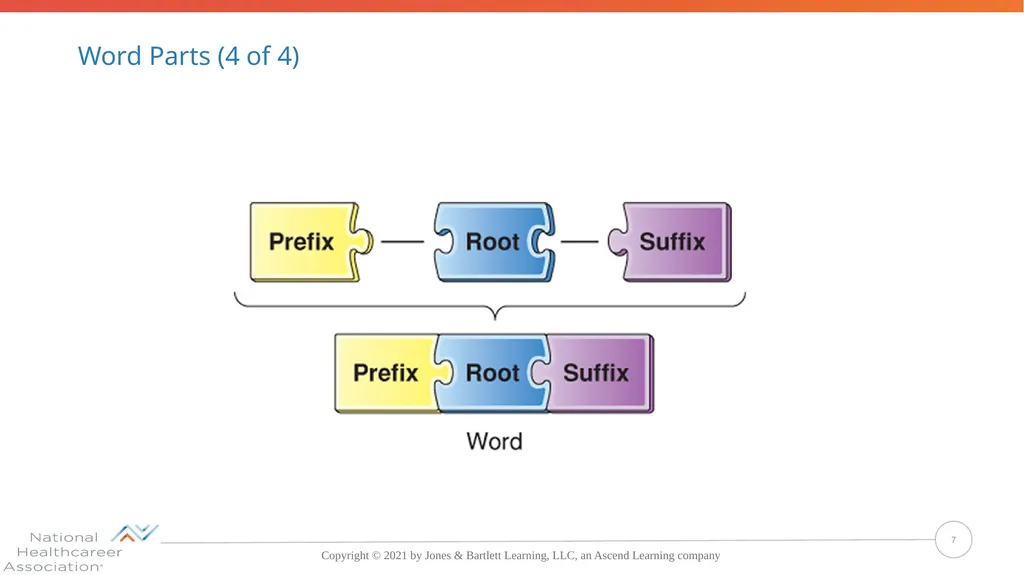 Concepts, Suffixes, and Prefixes of Medical - slide 7 of 47