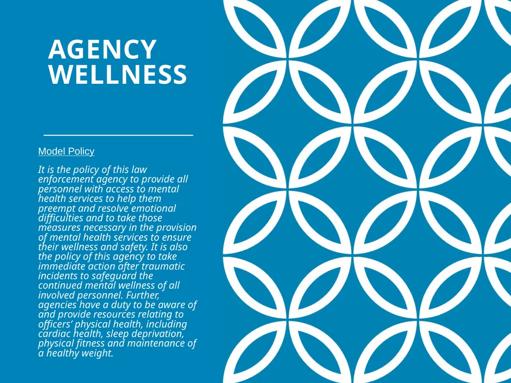 Agency Wellness Ohio Collaborative LE - slide 16 of 46