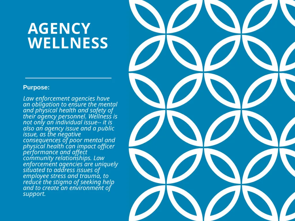 Agency Wellness Ohio Collaborative LE - slide 17 of 46