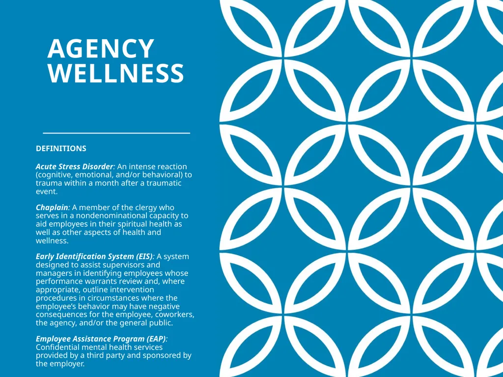 Agency Wellness Ohio Collaborative LE - slide 18 of 46