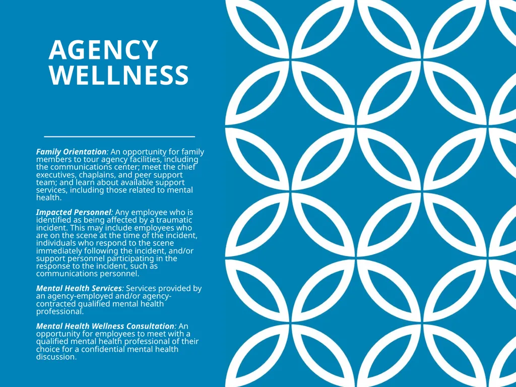 Agency Wellness Ohio Collaborative LE - slide 19 of 46