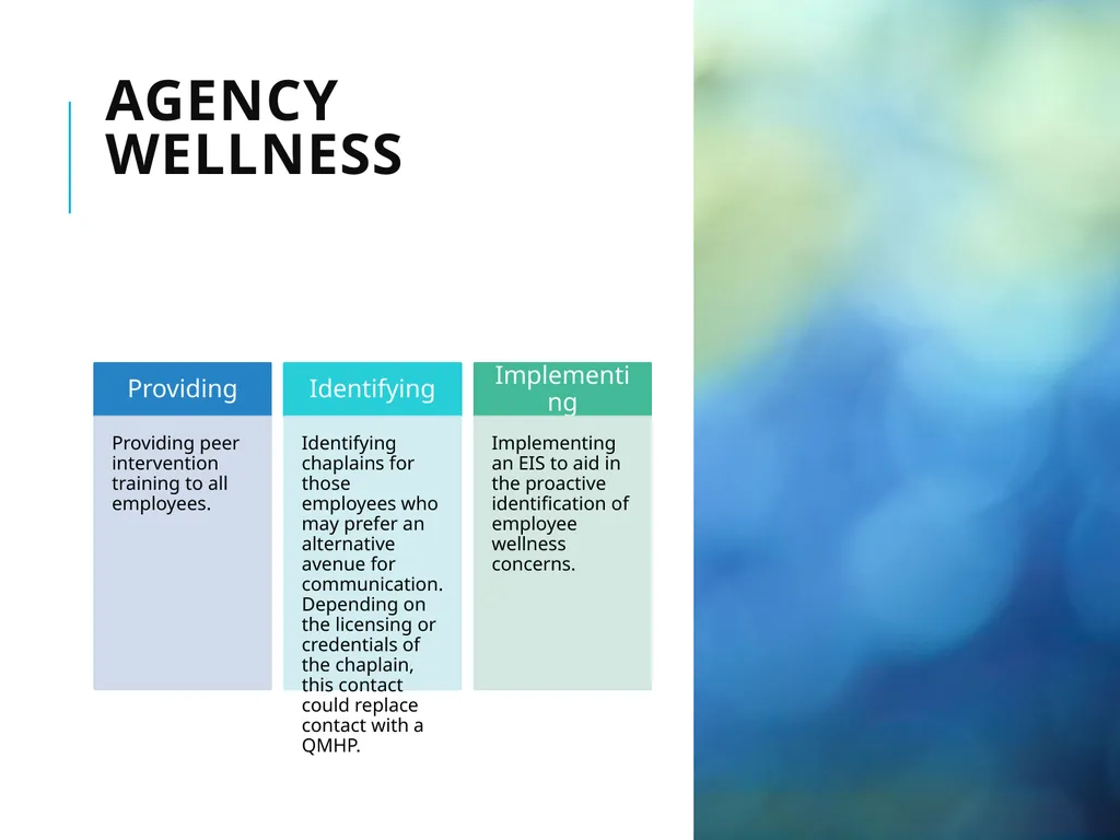 Agency Wellness Ohio Collaborative LE - slide 25 of 46