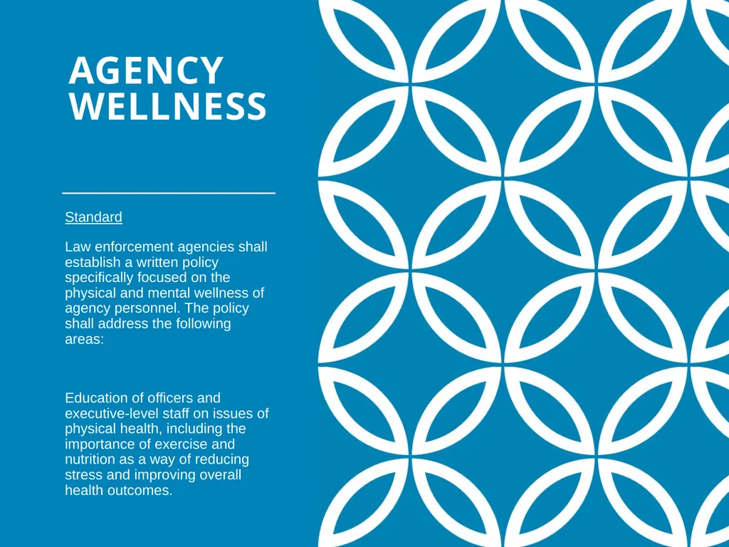 Agency Wellness Ohio Collaborative LE - slide 6 of 46