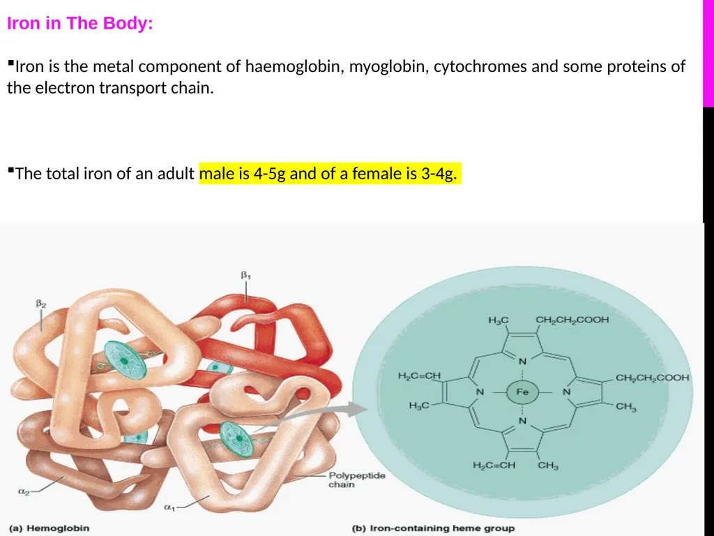 Quantitative Determination of Serum Iron, - slide 3 of 18