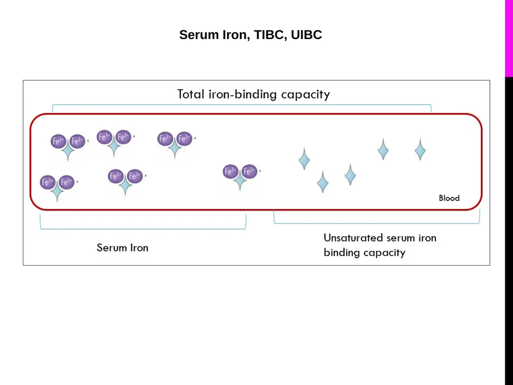 Quantitative Determination of Serum Iron, - slide 8 of 18