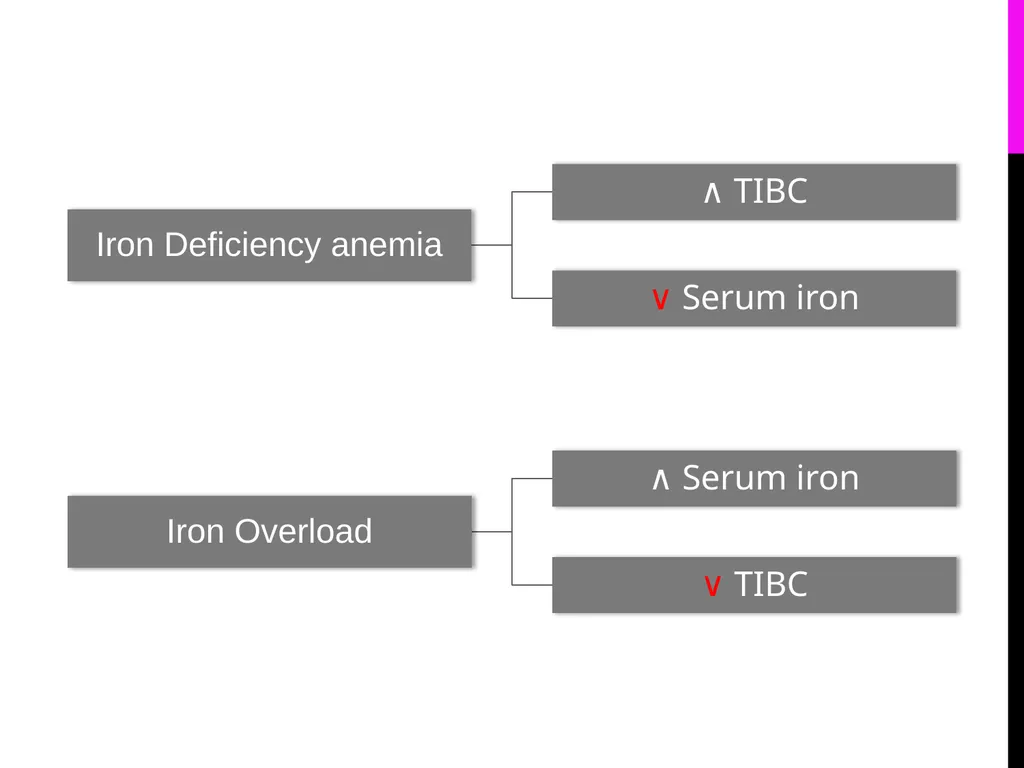 Quantitative Determination of Serum Iron, - slide 14 of 18
