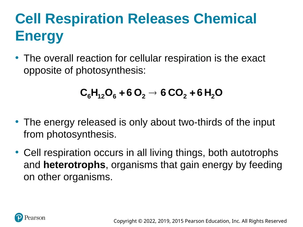 Essential Environment: The Science Behind the - slide 45 of 81