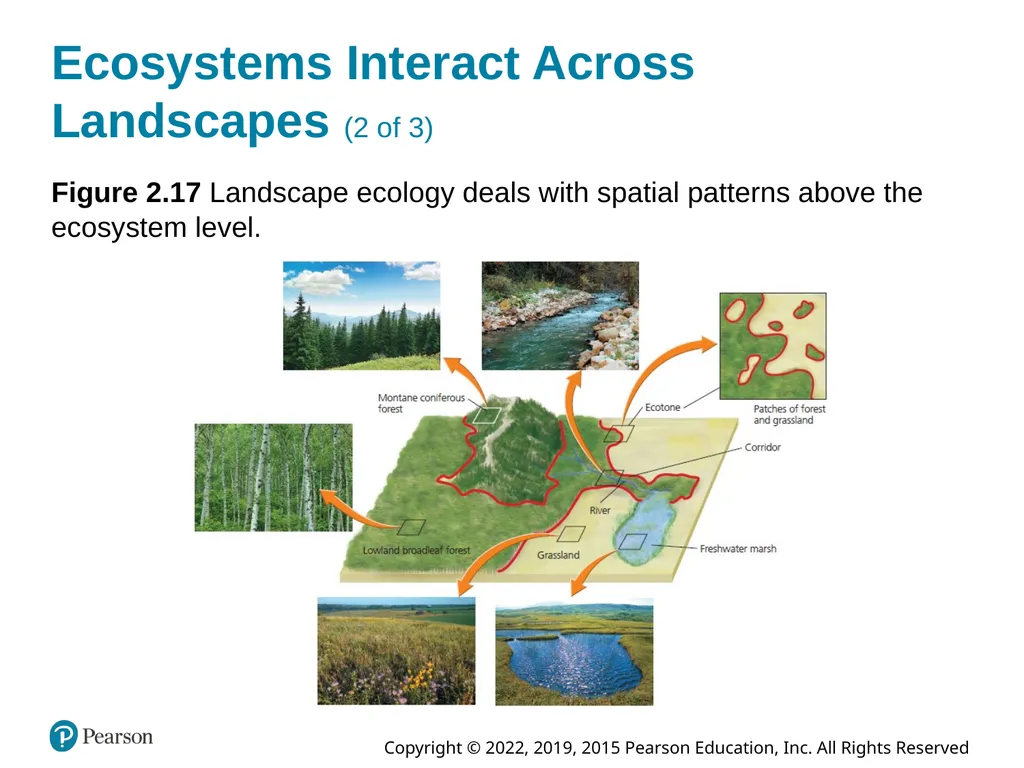 Essential Environment: The Science Behind the - slide 52 of 81