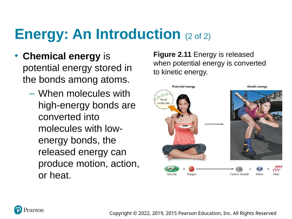 Essential Environment: The Science Behind the - slide 36 of 81