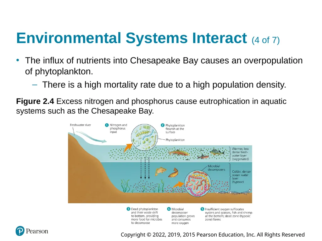 Essential Environment: The Science Behind the - slide 14 of 81
