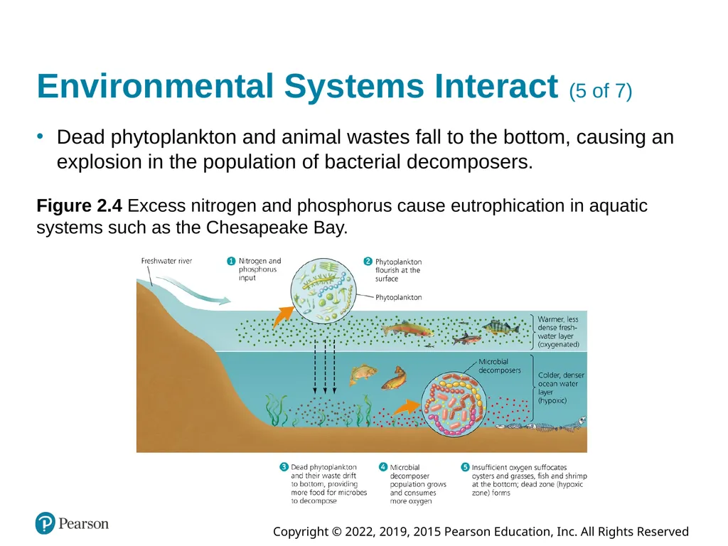 Essential Environment: The Science Behind the - slide 15 of 81