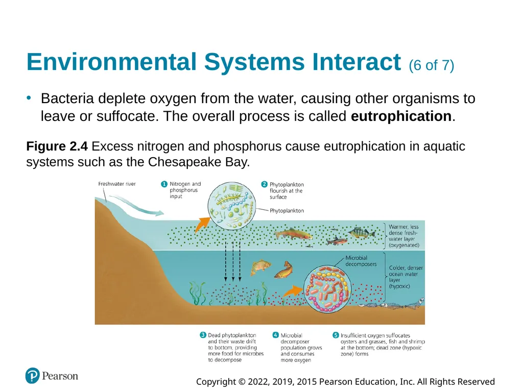 Essential Environment: The Science Behind the - slide 16 of 81