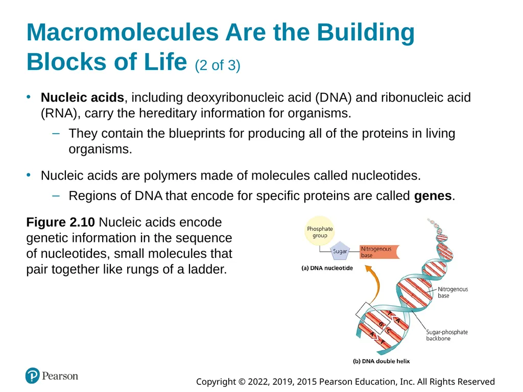Essential Environment: The Science Behind the - slide 33 of 81