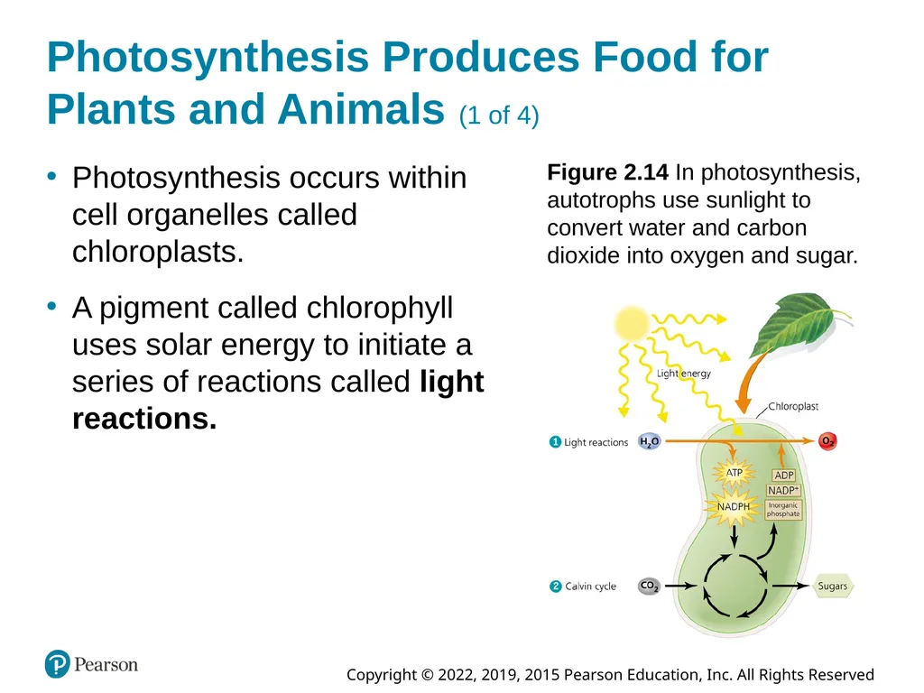 Essential Environment: The Science Behind the - slide 41 of 81