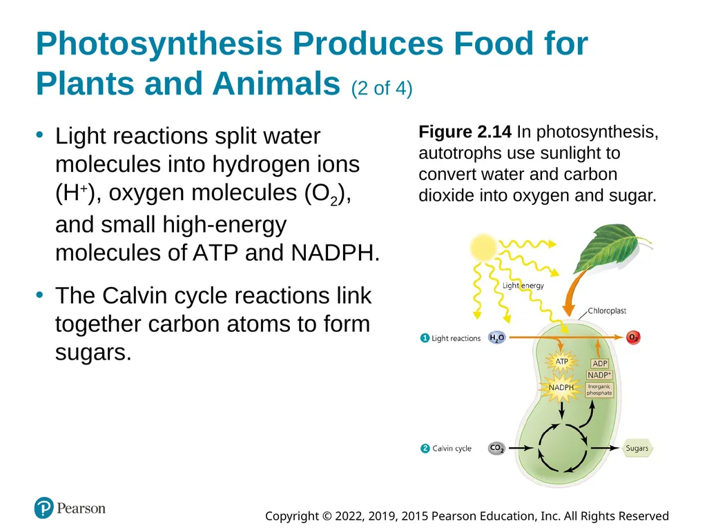 Essential Environment: The Science Behind the - slide 42 of 81