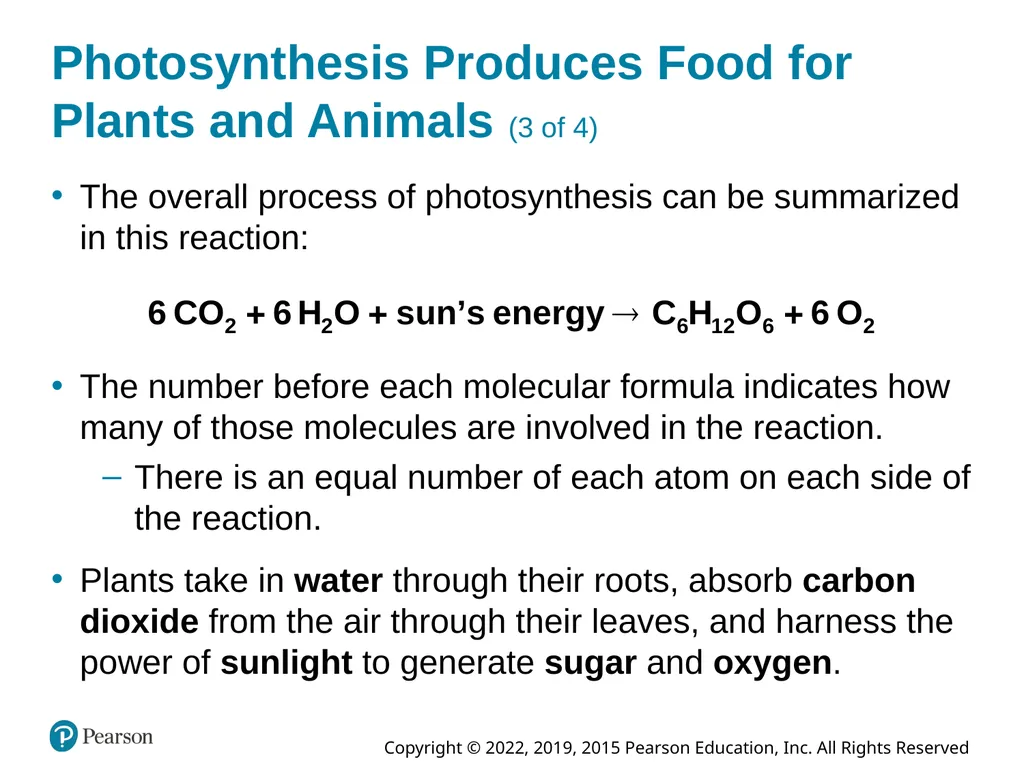 Essential Environment: The Science Behind the - slide 43 of 81
