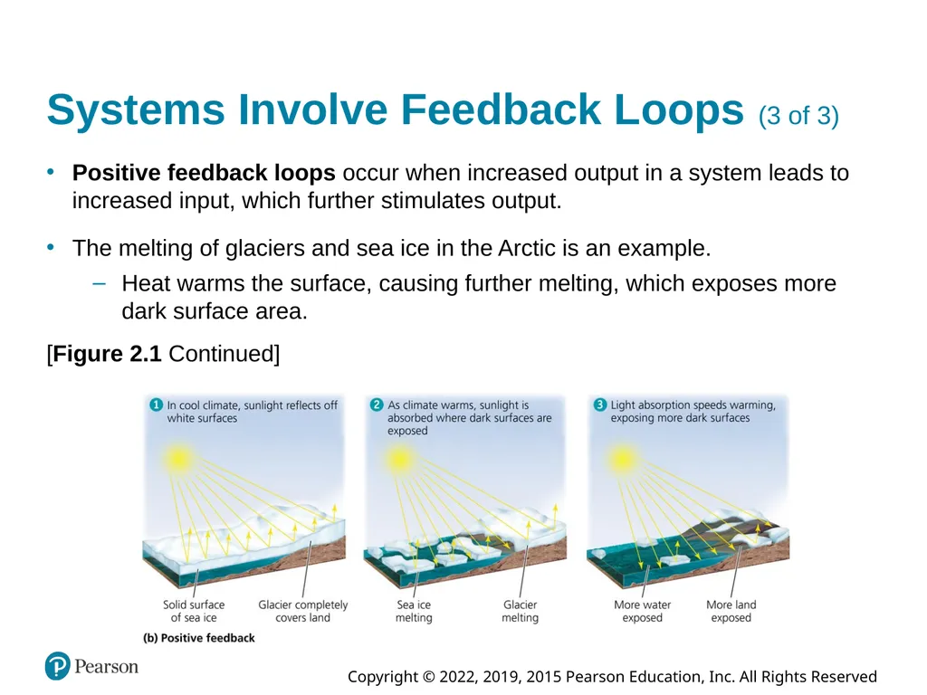 Essential Environment: The Science Behind the - slide 10 of 81