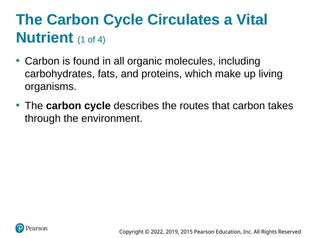 Essential Environment: The Science Behind the - slide 66 of 81