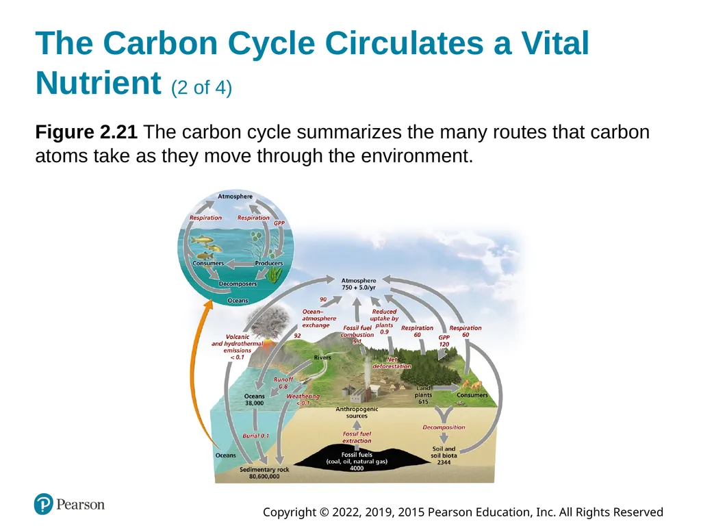 Essential Environment: The Science Behind the - slide 67 of 81