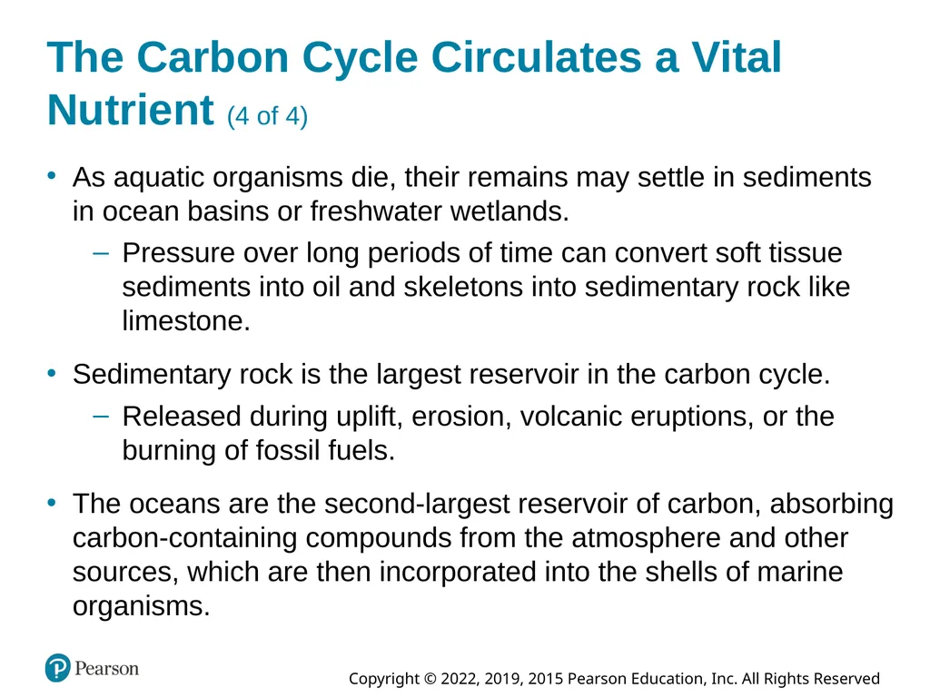 Essential Environment: The Science Behind the - slide 69 of 81