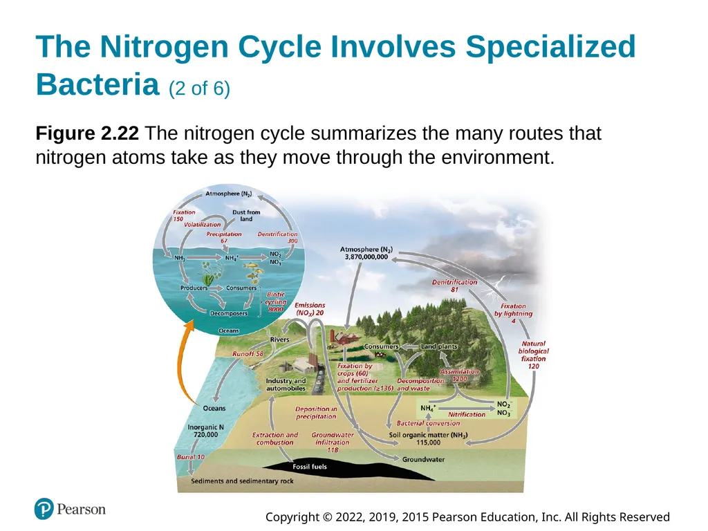 Essential Environment: The Science Behind the - slide 71 of 81