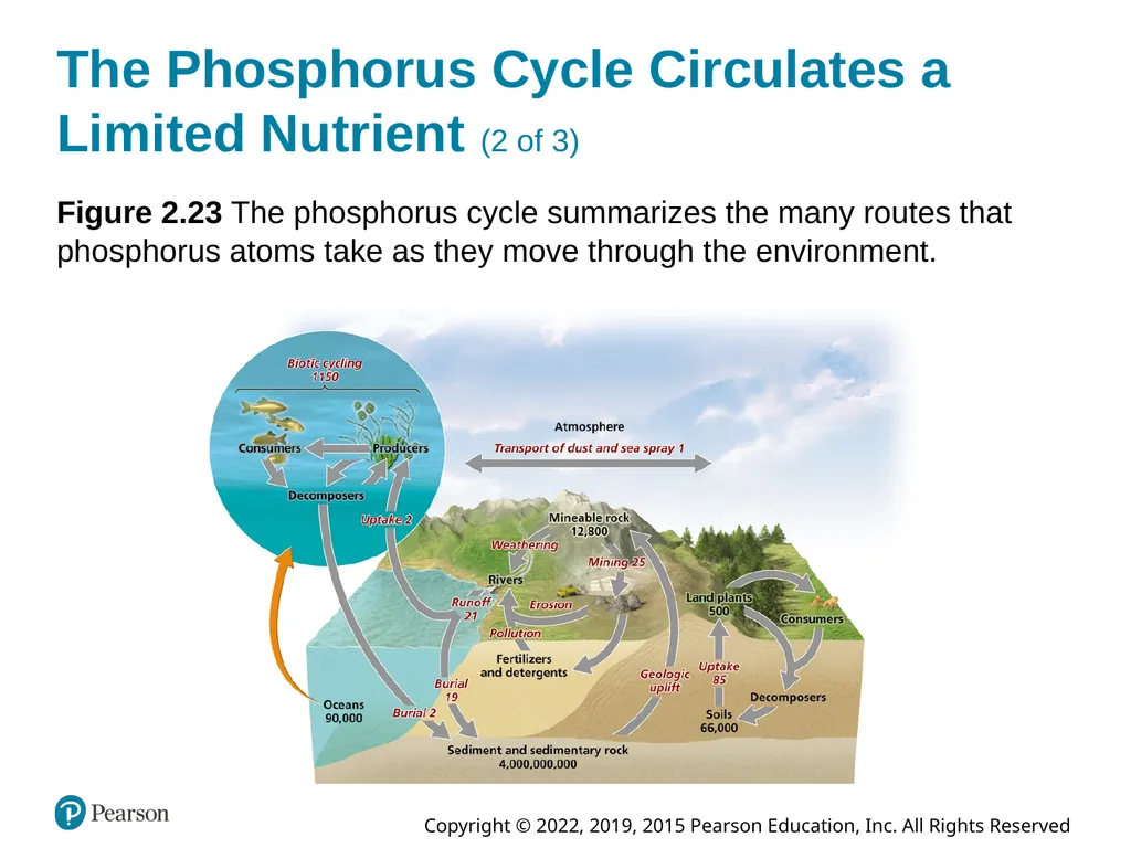 Essential Environment: The Science Behind the - slide 77 of 81