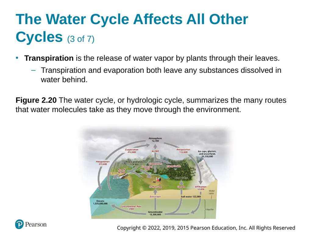 Essential Environment: The Science Behind the - slide 61 of 81