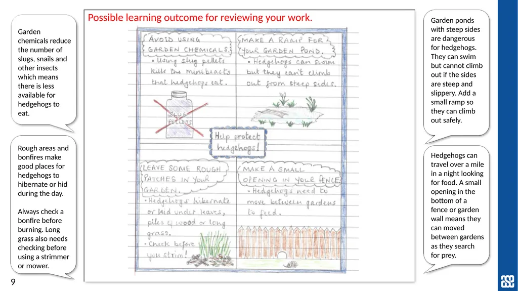 Living things and their habitats Changing - slide 9 of 9