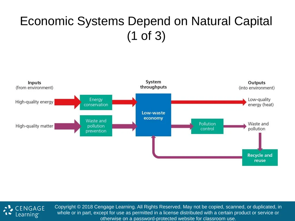 Exploring Environmental Science for AP® 1st - slide 39 of 47