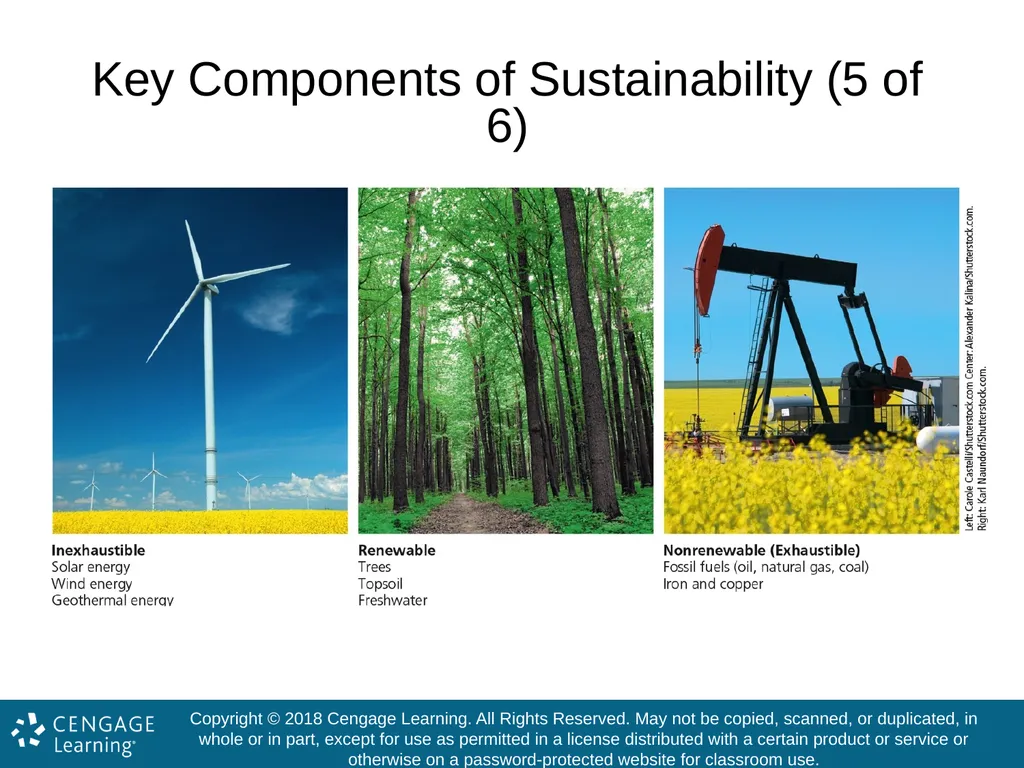 Exploring Environmental Science for AP® 1st - slide 11 of 47