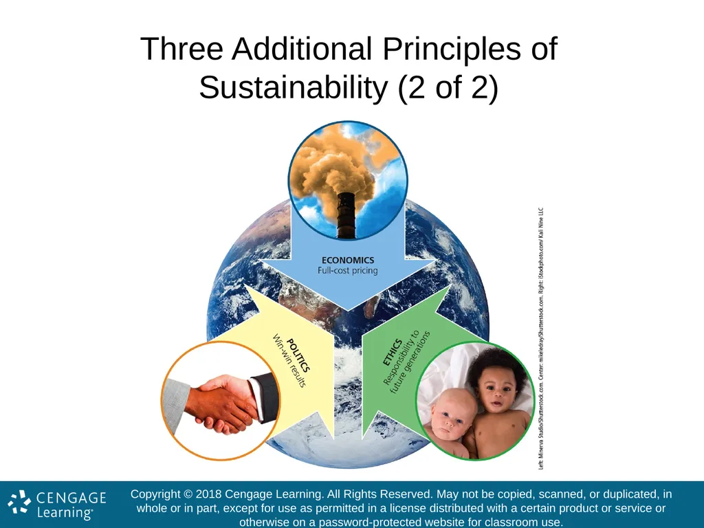 Exploring Environmental Science for AP® 1st - slide 14 of 47
