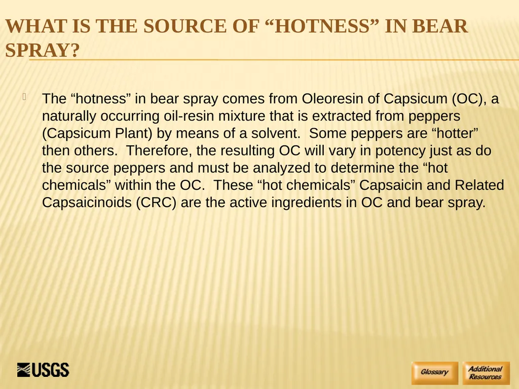 Bear Spray Training For Defense Against Dangerous - slide 8 of 55