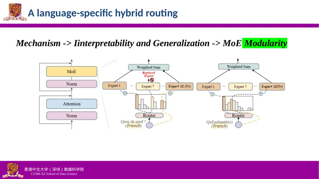 Efficiently Democratizing Medical LLMs for 50 - slide 12 of 19