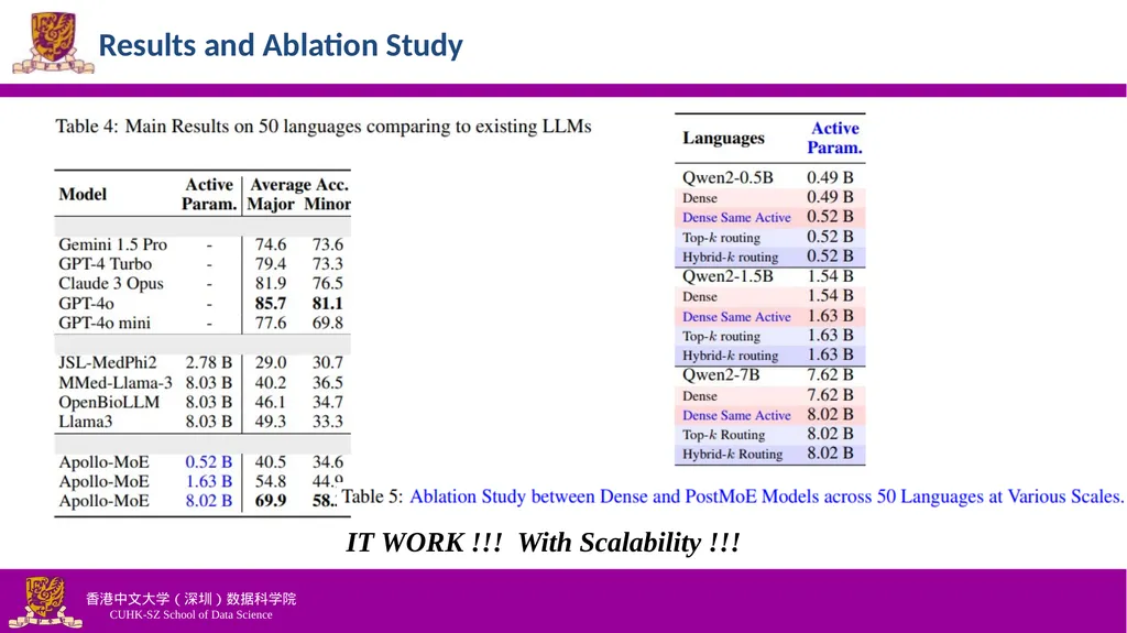 Efficiently Democratizing Medical LLMs for 50 - slide 18 of 19